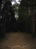 gal/Autour de Tokyo/Takaosan/_thb_106_0679.jpg